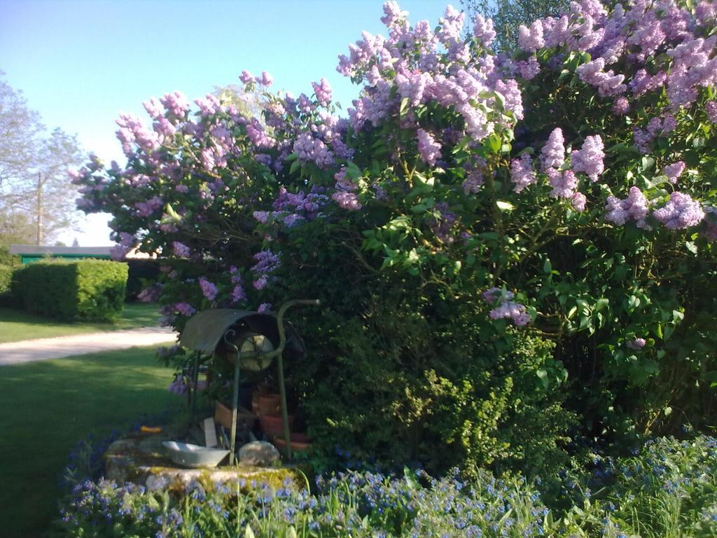 Le Clos Du Golf Dame-Marie-les-Bois Esterno foto