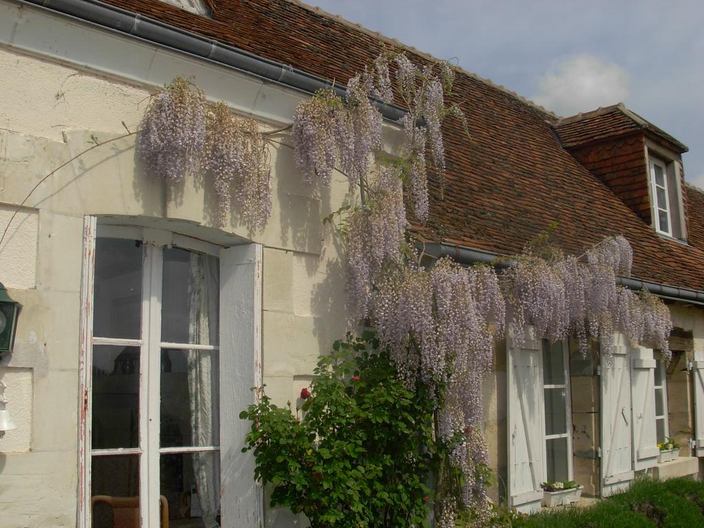 Le Clos Du Golf Dame-Marie-les-Bois Esterno foto