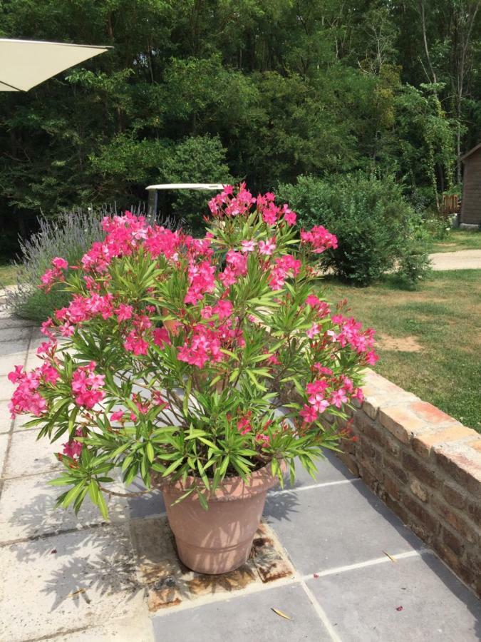 Le Clos Du Golf Dame-Marie-les-Bois Esterno foto