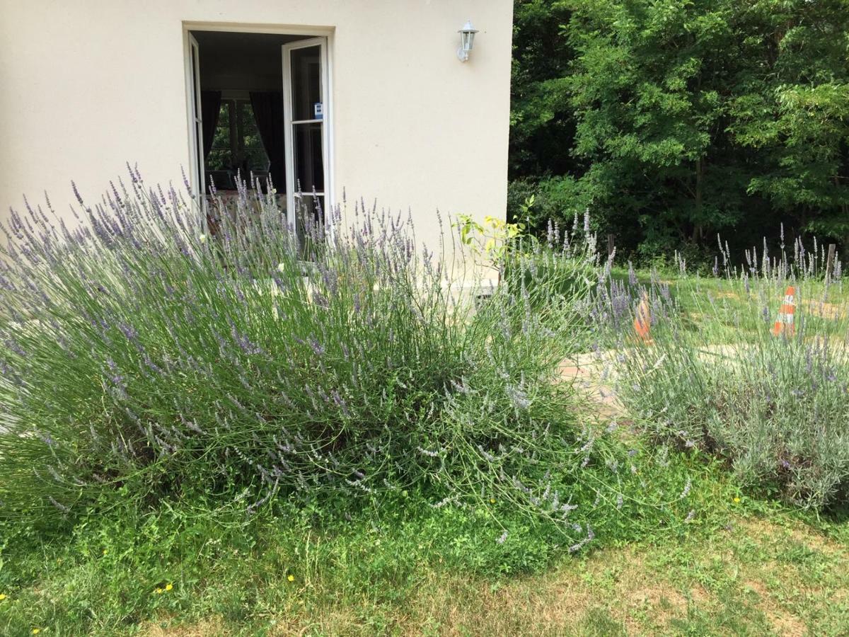 Le Clos Du Golf Dame-Marie-les-Bois Esterno foto